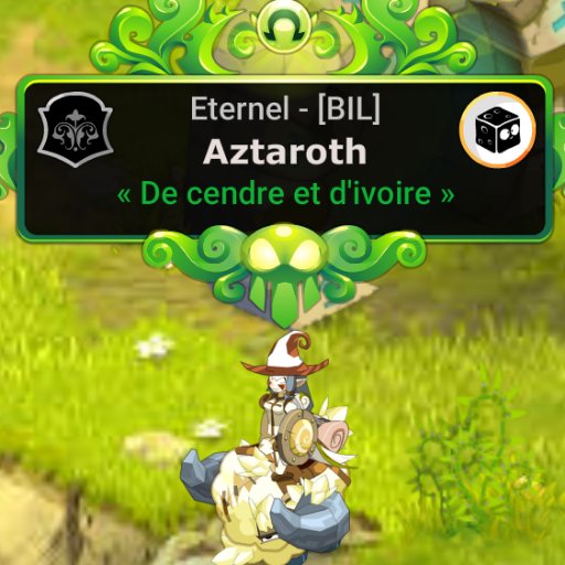 joueur dofus