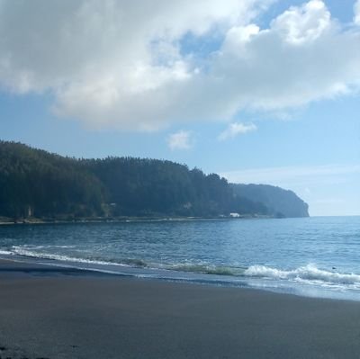 analarreal's profile picture. Podría vivir comiendo chocolate y sushi a diario.