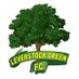 Leverstock Green FC (P) (@levgreenfc) Twitter profile photo