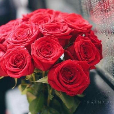 ‏أشياء كثيرة قادره على صنع الفرح والسعادة بداخلك ؛ فقط كن قنوعًا بما تملك راضيًا بالقدر و مؤمن بالله عز وجل وتفاءل دائماً ❤