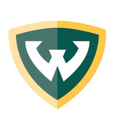 Official account of the Wayne State University/Detroit Medical Center Internal Medicine Residency Program | Proudly serving the diverse Metro Detroit population