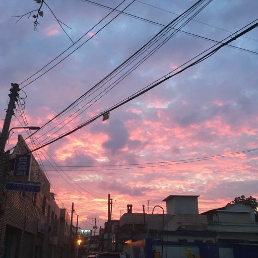 dazedinday's profile picture. Main topics: Stocks, crypto, health & science