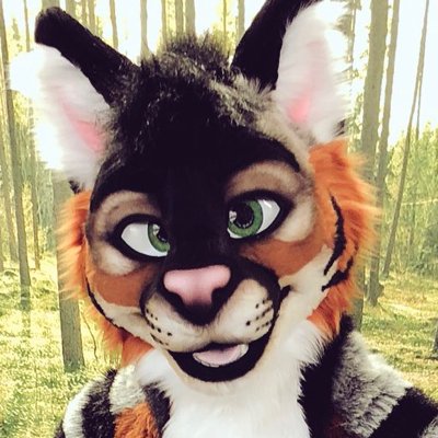 Digital Artist • Animation Geek• Coffee Lover • @MixedCandy Kitty @FursuitsByLacy Poom. Thanks for stopping by! :)