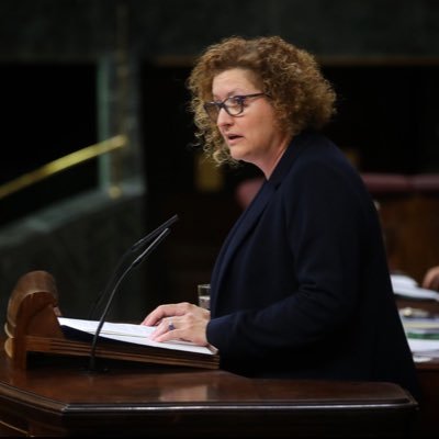 Madre, abogada, Vicedecana del ICA Alcoy, Directora del Centro de Mediación del ICA de Alcoy, Diputada XII Legislatura, fundadora @ADEAlicante