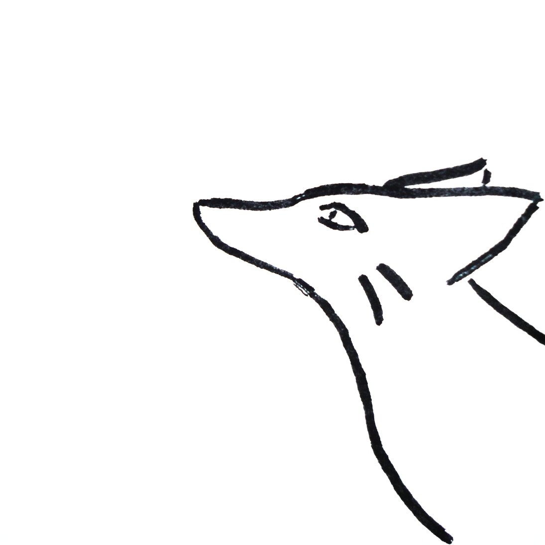 Foxes are the best animals and also check out my yt: https://t.co/EyaPGo5tgS