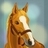 horsetroops's profile image
