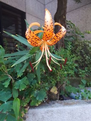 qkpdwuxh121's profile picture. 