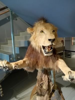 krzwaw's profile picture. 