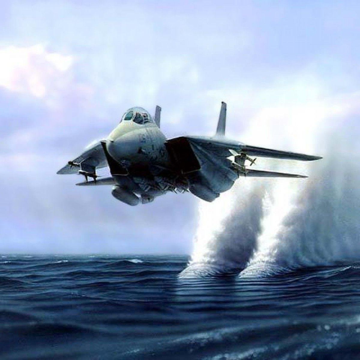 f14tomcatt1's profile picture. i like anime and guns