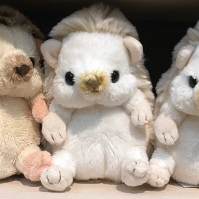 るるりら＊さんのプロフィール画像