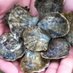 Waiwai Ola Waterkeepers Hawaiian Islands (@waiwaiolawhi) Twitter profile photo Waiwai Ola Waterkeepers Hawaiian Islands (@waiwaiolawhi) Twitter profile photo