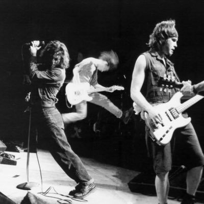 Passionate blog about Pearl Jam shows and the life after 🤘