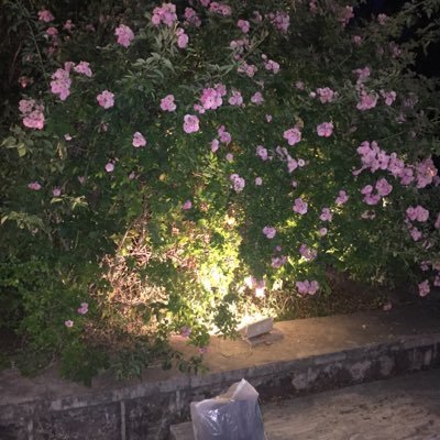 javednadeemakr1's profile picture. 