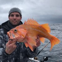 Luke Ovgard (@caughtovgard) Twitter profile photo