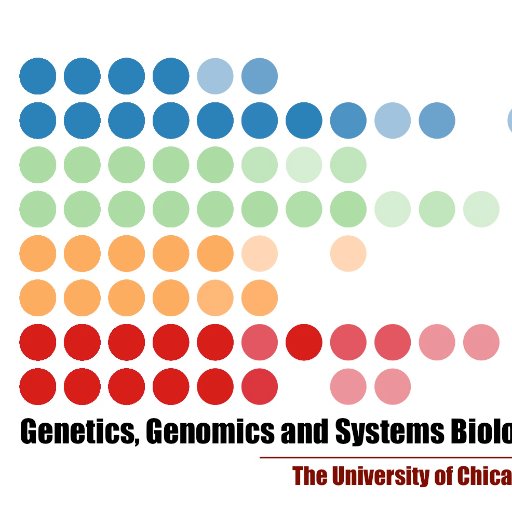UChicagoGGSB Profile