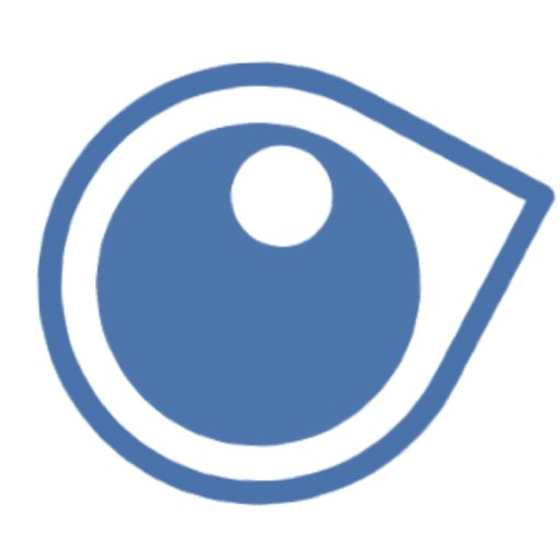 The eye as a window to the brain for lifelong brain health.