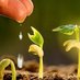 Our Farms, Our Food, Our Future, Forum 2018 (@our_2018) Twitter profile photo Our Farms, Our Food, Our Future, Forum 2018 (@our_2018) Twitter profile photo