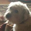 Barry Oneal - @maclovingoneal - Twitter