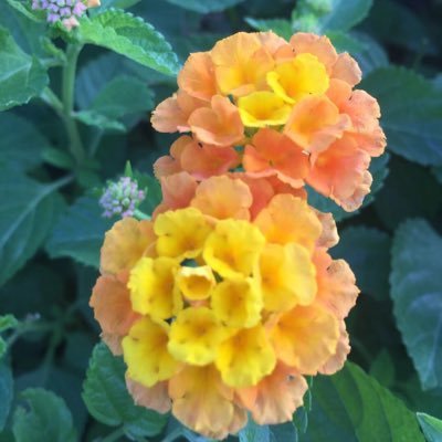 ravenclaw_julia's profile picture. Everything I love:🦅🌑🍉🌸🍀🐼🦉🎁🎼⚡️🌷🎂⌚️🌈😄👌💍👩🏻‍🍳👩🏻‍🏫👩🏻‍🎓👰🏼🧜🏻‍♀️🧚🏻‍♀️💃🏻👗👑🎩🦄🦋🎄☃️❄️💧🍑🥞🌭🥟🍱🍦🍮🍫🏸🏊🏻‍♀️🎬🎤🎡🏰⛲️💎🎉♏️🇨🇾