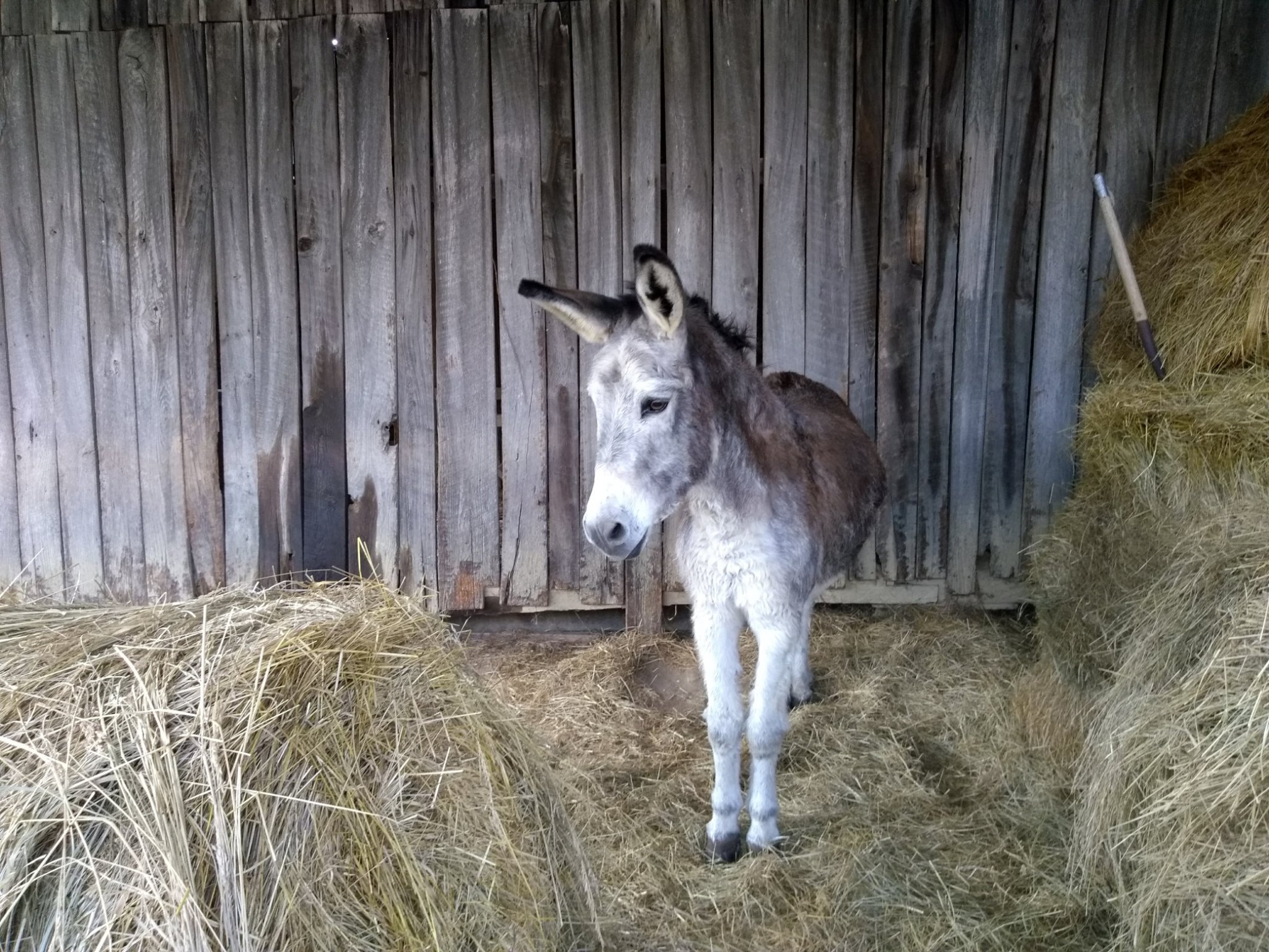 davidbstewart's profile picture. 