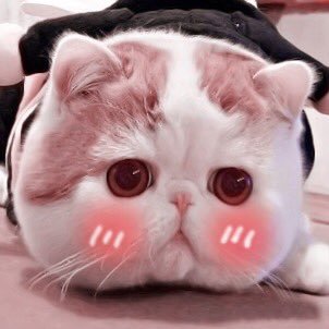 เช่อเดล;-;