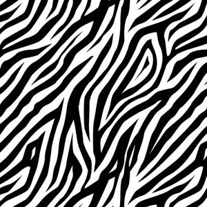 VRPellington's profile picture. Director of Assessments, Planning & Program Evaluation