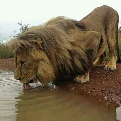 ShankoDon's profile picture. Tweet for fun😂😂😂🤲👤
Ethical Hacker ⌨️⌨️⌨️🕕🕕
BIG TYMA