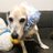 SaWa_20001218