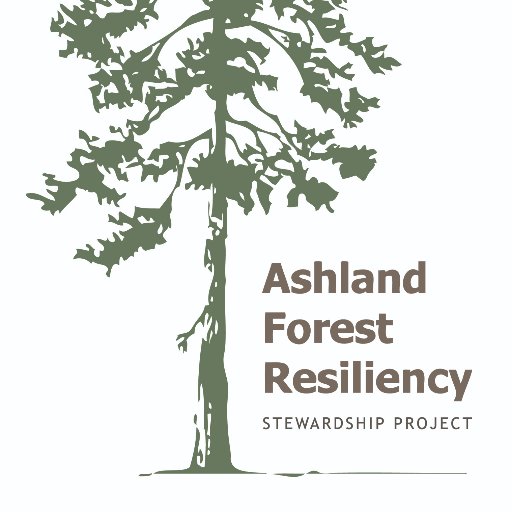 Forest Resiliency