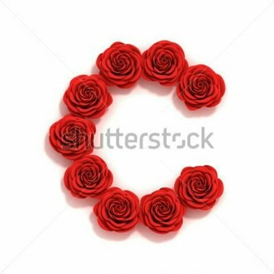 chandanbisht231's profile picture. 