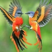 رسول الخالدي النجفي (@7vujv1fzc5uylxc) 's Twitter Profile