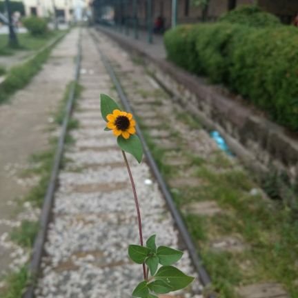 milly_maglioni's profile picture. Welcome to my cage, little lover