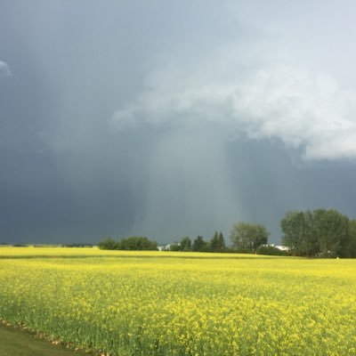 Neville and Ruth Anne Johnson.. Chasers in and around Alberta and Saskatchewan. Neville is the science guy and Ruth Anne is the photographer.