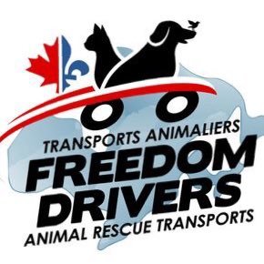 Transporters of death-row animals from Montreal-area pounds to rescues in Quebec, Ontario & Maritimes. Join us! thefreedomdrivers@gmail.com (@JessLReid admin)