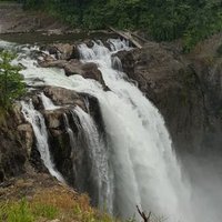 Cynthia L Gregory (@cynthialgregor3) 's Twitter Profile