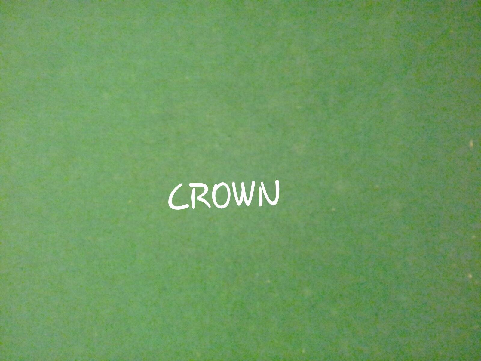 hchapupa's profile picture. 