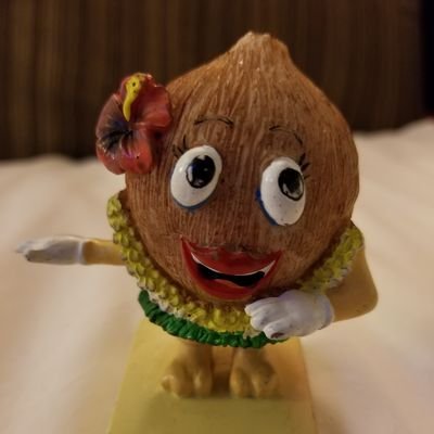 The808girl's profile picture. Learning. Living. Loving.