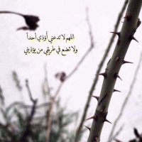 ' (@g_f34) 's Twitter Profile