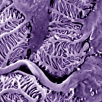 Advani Lab (@advanilab) 's Twitter Profile