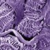 Advani Lab (@advanilab) Twitter profile photo Advani Lab (@advanilab) Twitter profile photo