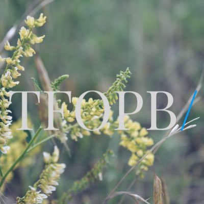 tfopb1's profile picture. TFOPB delivers the news, weather, etc. that matters most to you! Because we are the people's network! (covering national news and Nebraska Weather)