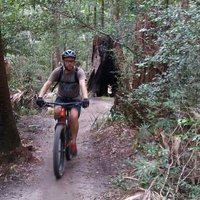 Warwick Simpson (@simpsonwarwick) 's Twitter Profile