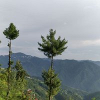 Shilpi (@shilpivaid) 's Twitter Profile