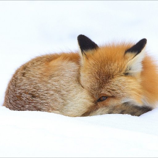 a744273237's profile picture. 爱文明爱自由