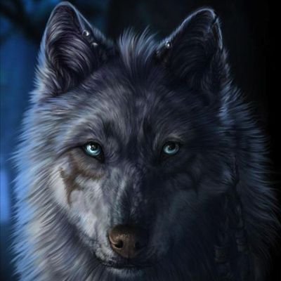 Wolf Anime Action (@WolfAnimeActio1) / Twitter Wolf Anime Action (@WolfAnimeActio1) / Twitter