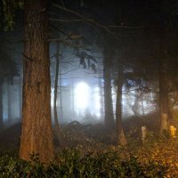 Jason Kaus Writes (@jkaus_writes) 's Twitter Profile