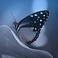 MareleAngelo's profile picture. Su questo profilo ▶️ https://t.co/t1xgV1BTRt
trovate le migliore offerte dal web