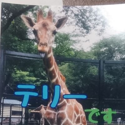 楽しい動物園アカウント。動物園が好きで、主に行った園館の画像を上げています。600園館くらい行きました。けものフレンズも好き。
行った行きたいマップ→
https://t.co/LWqIrhd06z