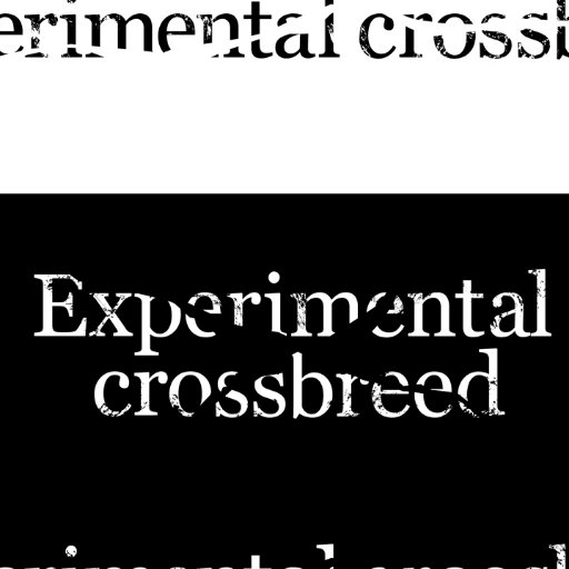 雑種電子ロックンロールバンド Experimental crossbreed https://t.co/R1IG1r3VZ6