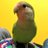 benbeco_